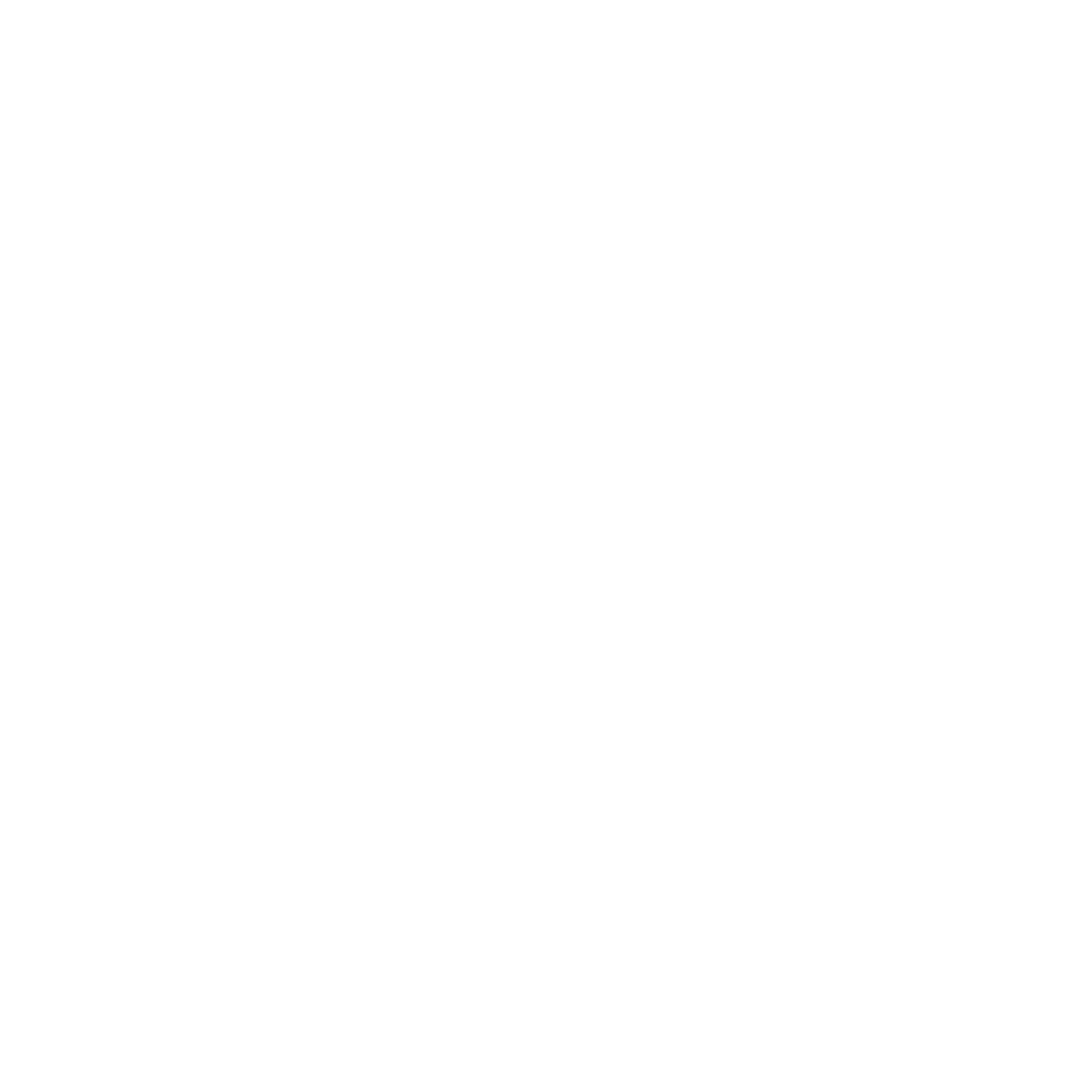 Salsa Solent Logo white